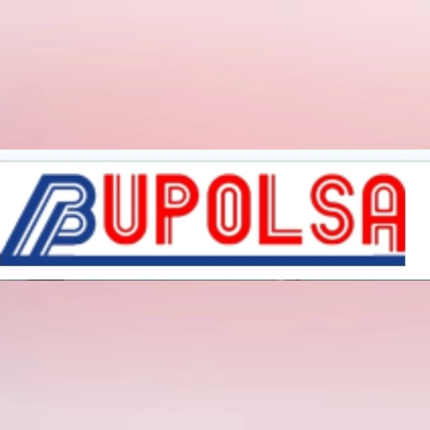 Logo de Bupolsa